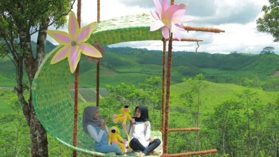 Bukit Jengkoang: Wisata Alam di Batu yang Tenang dengan Pemandangan Pegunungan yang Indah