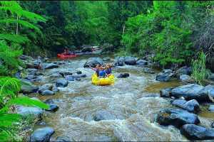 Arus Petualangan: Menjelajahi Sensasi Kaliwatu Rafting Kota Batu