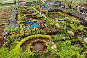 Wisata Pujon Kidul di Malang