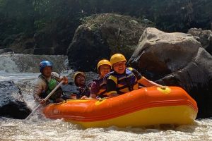 Harga Paket Rafting Malang: Panduan Lengkap Memilih Petualangan Sesuai Budget