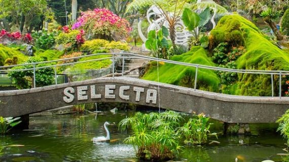 Taman Rekreasi Selecta, Wisata Sejuk di Kota Batu