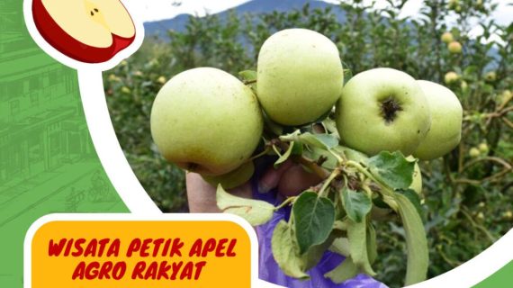Wisata Petik Apel Agro Rakyat